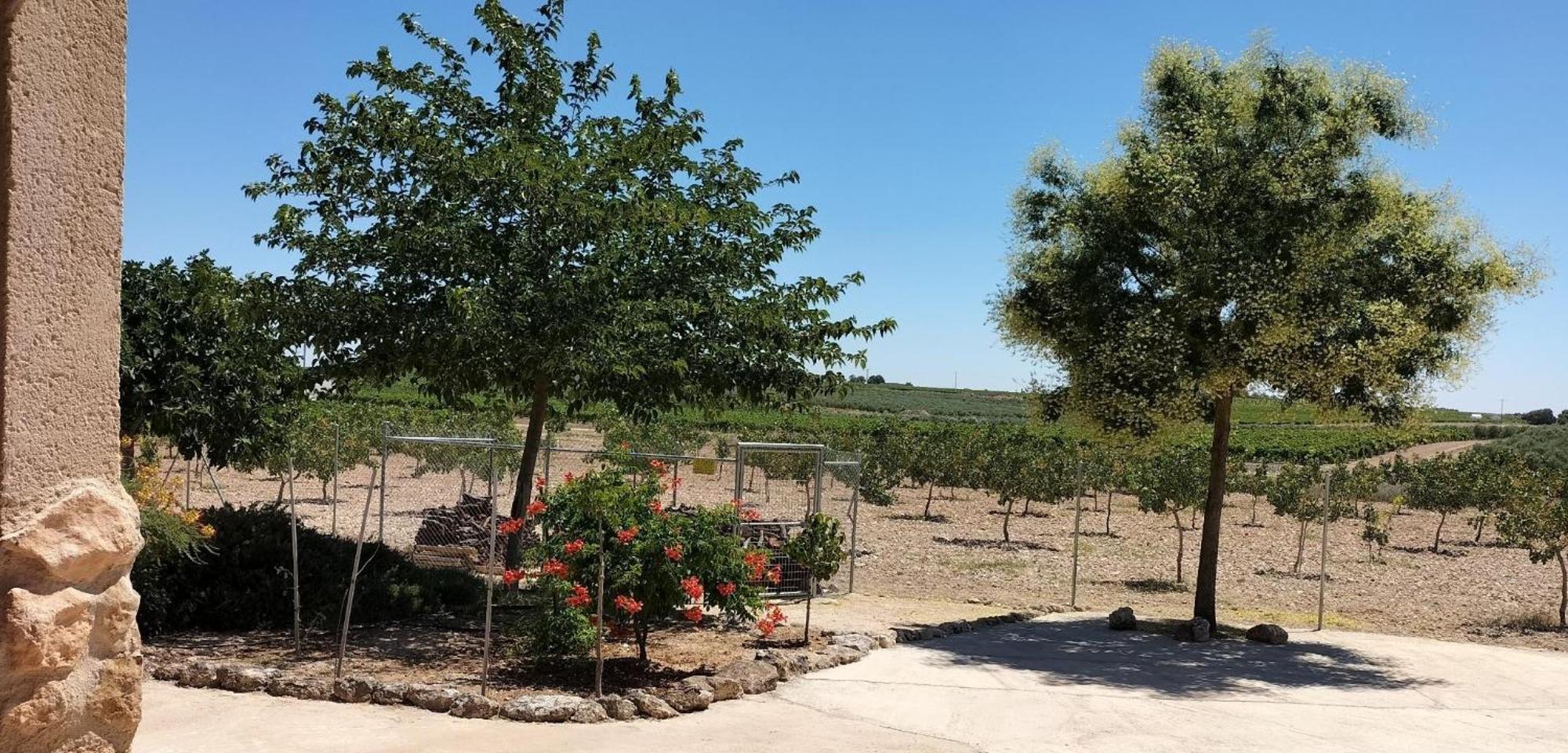 Casa Rural Las Caleras Daimiel Dış mekan fotoğraf
